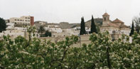 Bienvenido a la web de Alhabia